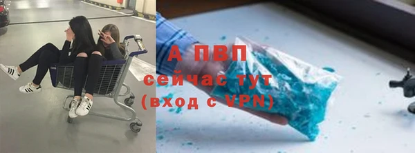 мяу мяу мука Осташков