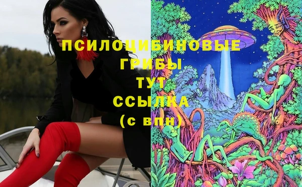 гидра Остров