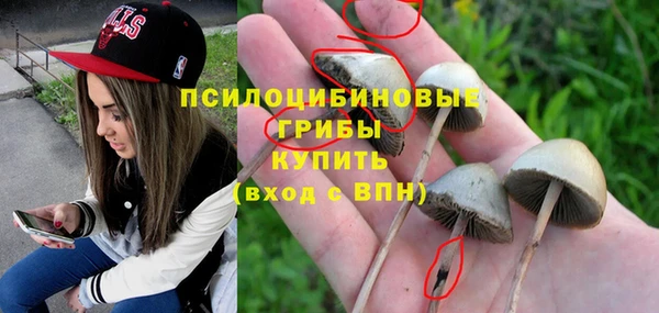 мдпв Нягань