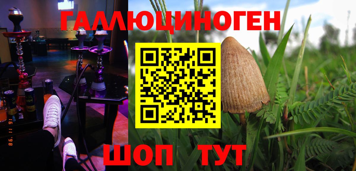 Псилоцибиновые грибы мицелий Майский
