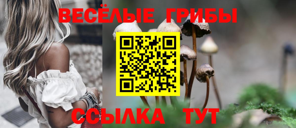 Псилоцибиновые грибы мухоморы  Вход с VPN  Майский 